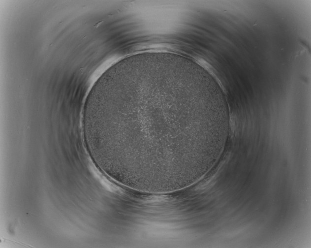 X0000101691482200807171424