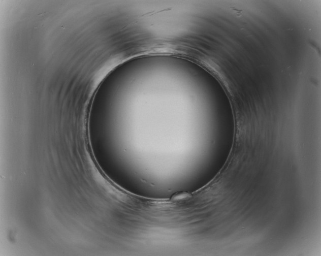 X0000101691483200807171424