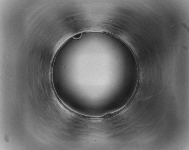 X0000101691484200807171424