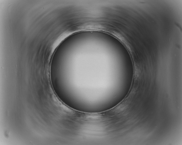 X0000101691486200807171424