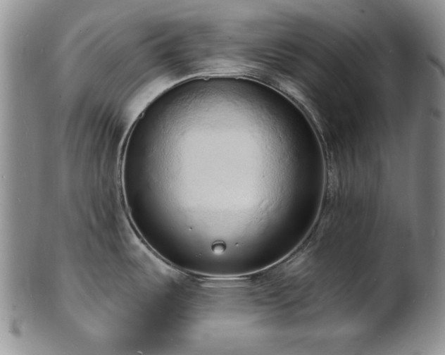 X0000101691487200807171424