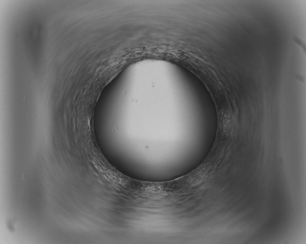 X0000101691489200807171423