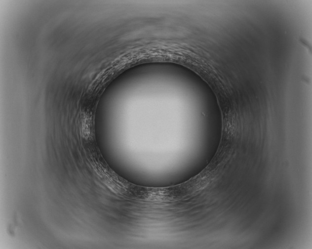 X0000101691490200807171423