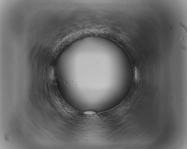 X0000101691492200807171423