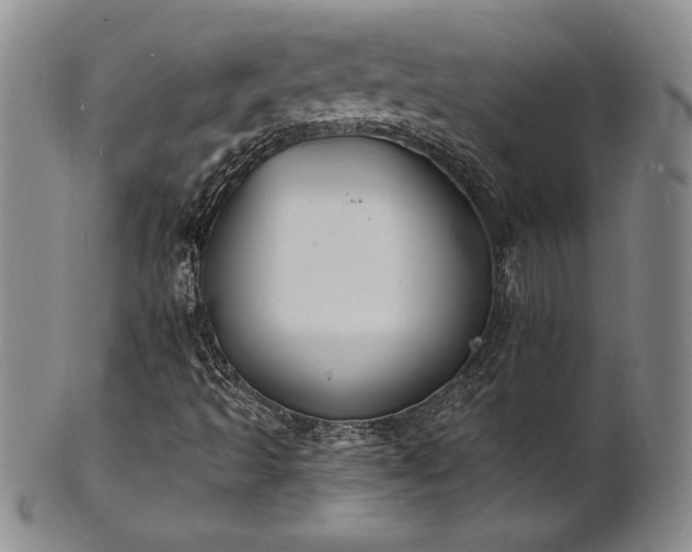 X0000101691493200807171423