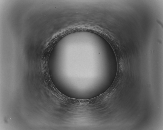 X0000101691494200807171423