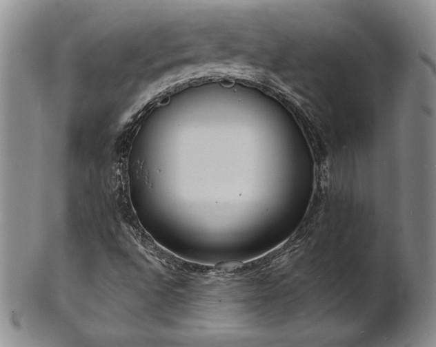 X0000101691496200807171423