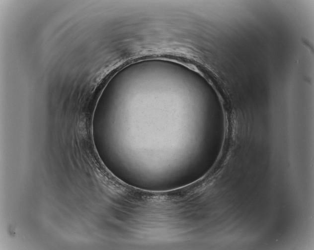 X0000101691497200807171423