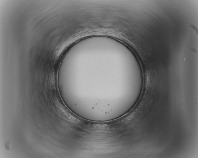 X0000101691498200807171423