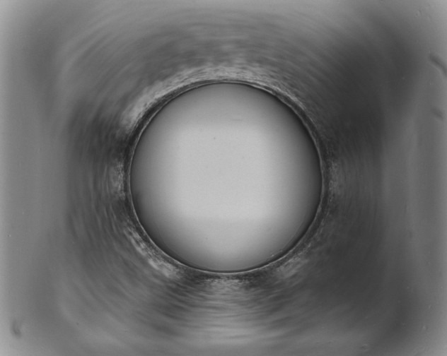 X0000101691499200807171423