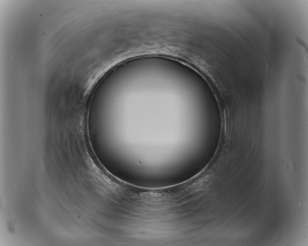 X0000101691500200807171423