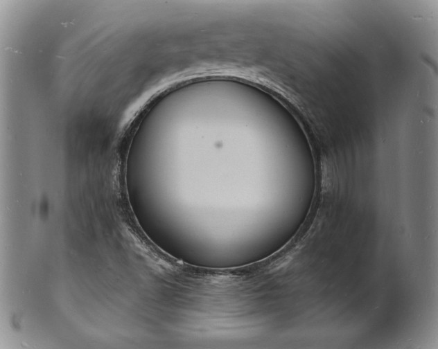 X0000101691502200807171423