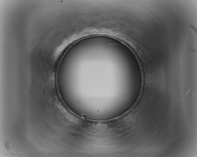 X0000101691503200807171423