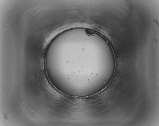 X0000101691504200807171423