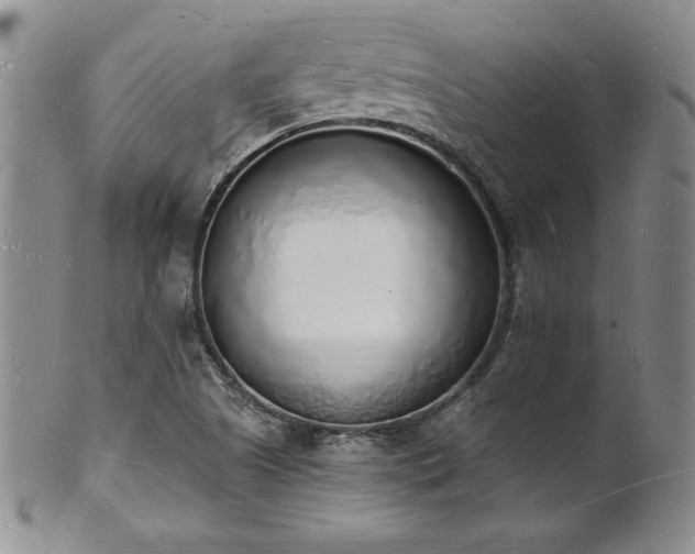 X0000101691505200807171423