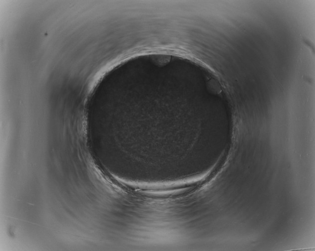 X0000101691506200807171423