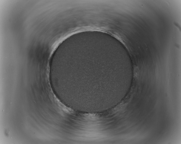 X0000101691508200807171423