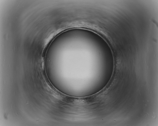 X0000101691509200807171423