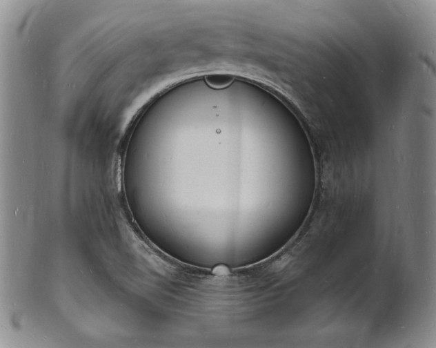 X0000101691510200807171423