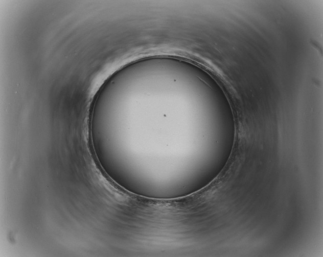 X0000101691512200807171423