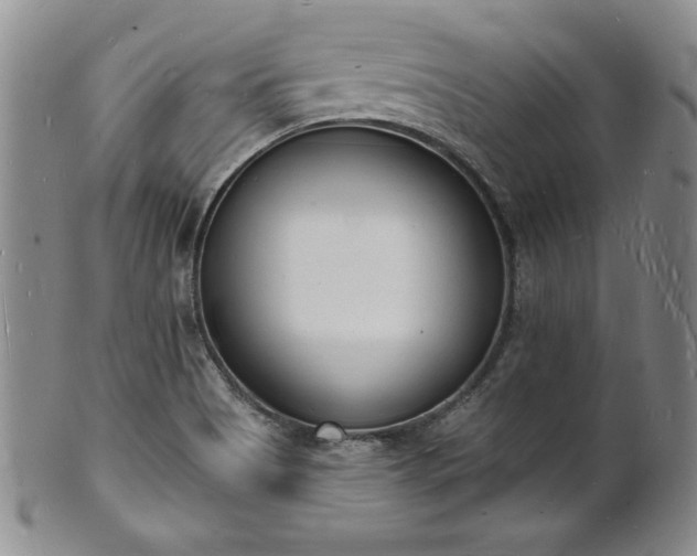 X0000101691513200807171423