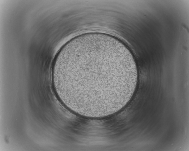 X0000101691514200807171423