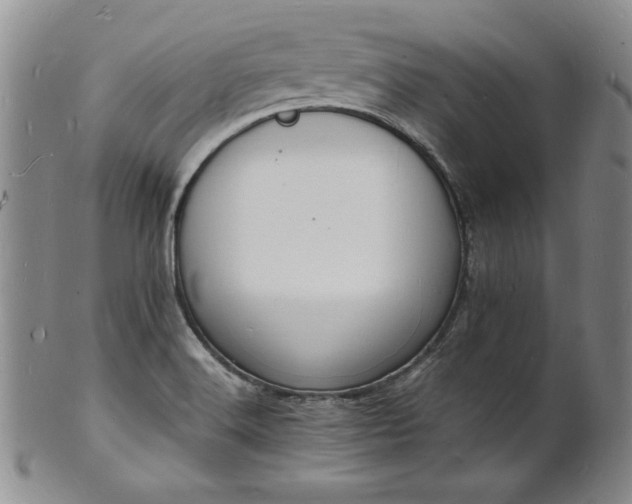 X0000101691516200807171423