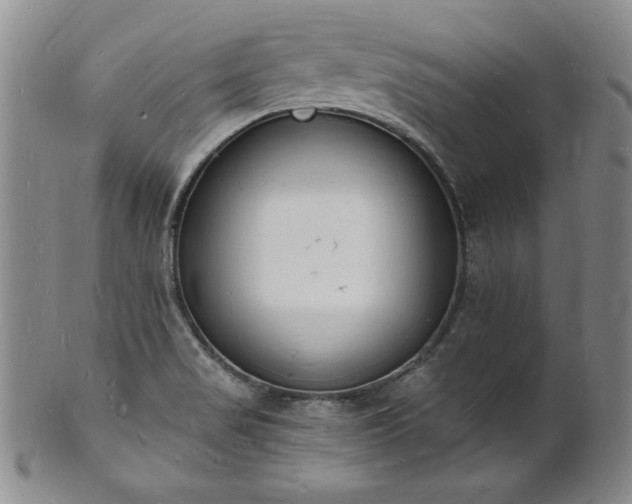 X0000101691517200807171423