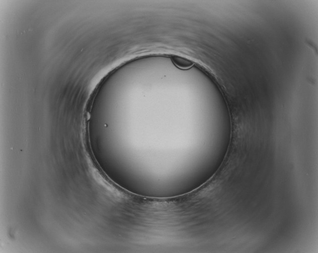 X0000101691518200807171423