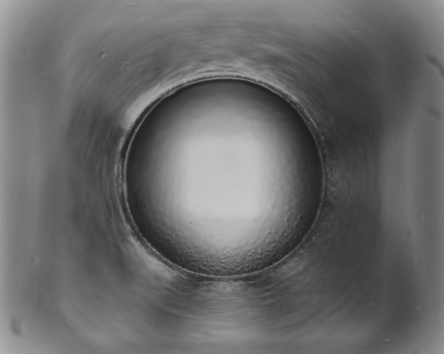 X0000101691519200807171423