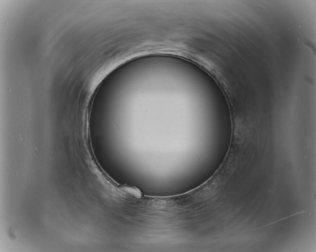 X0000101691520200807171423