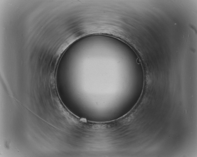 X0000101691521200807171423