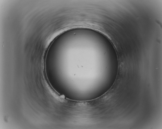 X0000101691523200807171423