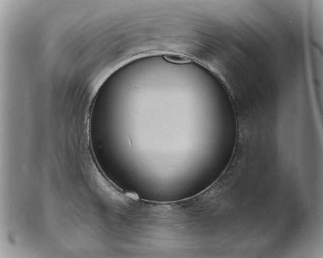 X0000101691524200807171423