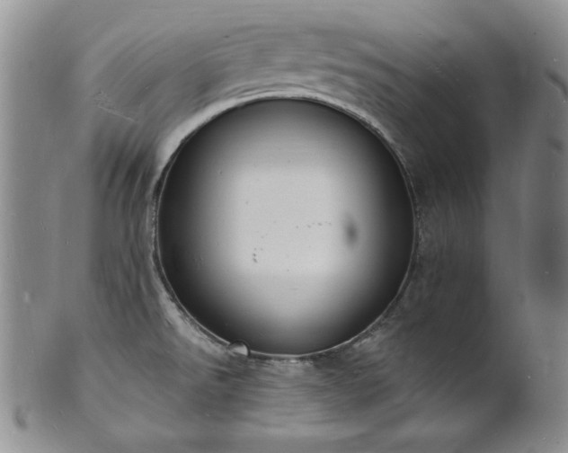 X0000101691526200807171424