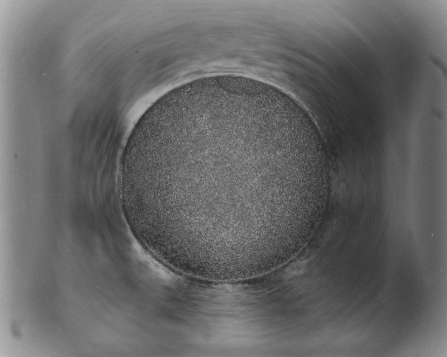 X0000101691527200807171424