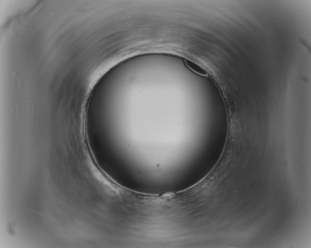 X0000101691528200807171424