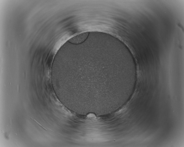 X0000101691529200807171424