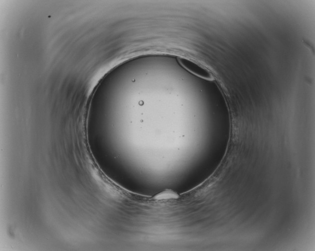 X0000101691530200807171424