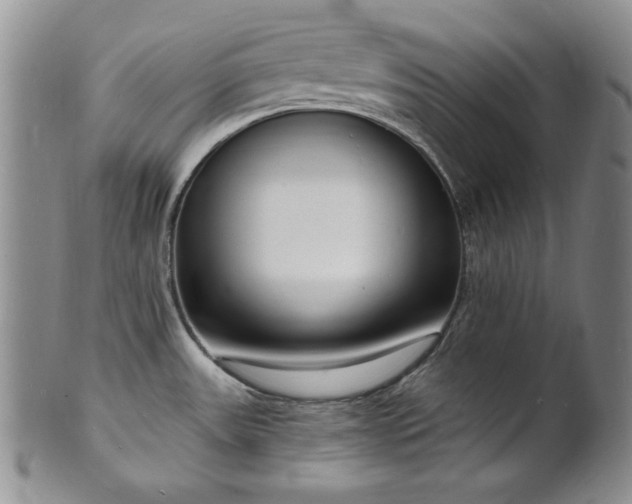 X0000101691531200807171424