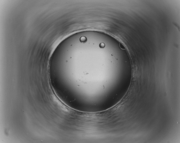 X0000101691532200807171424