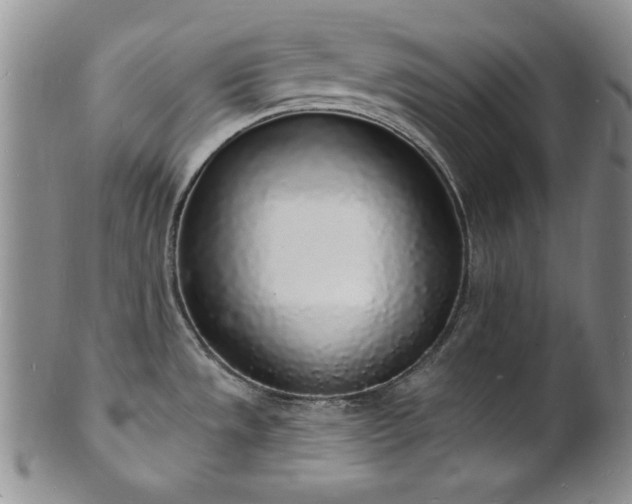 X0000101691533200807171424