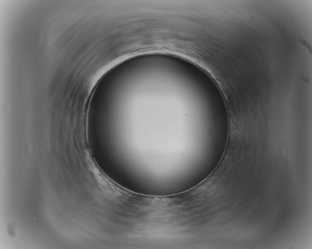 X0000101691534200807171424