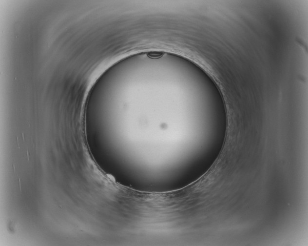 X0000101691536200807171424