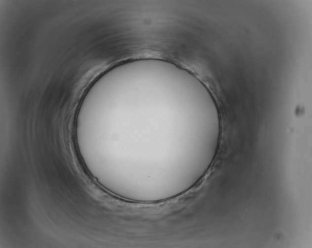 X0000101690001200807241419