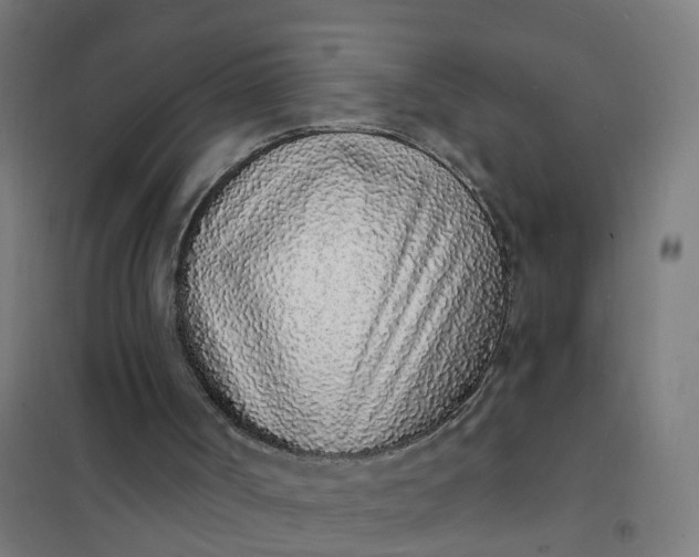 X0000101690002200807241419