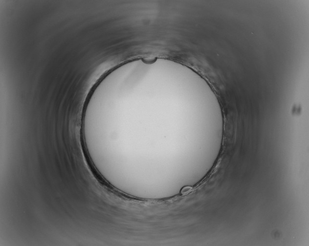 X0000101690003200807241419