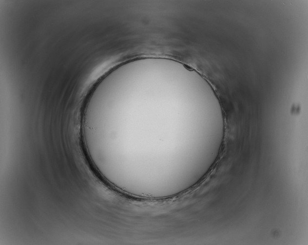 X0000101690005200807241419