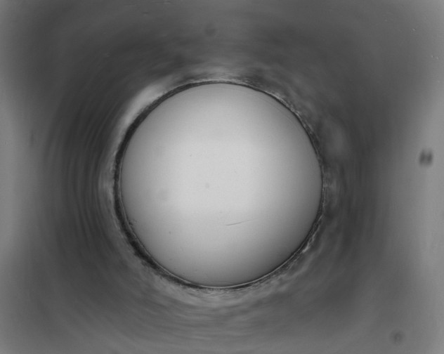 X0000101690006200807241419