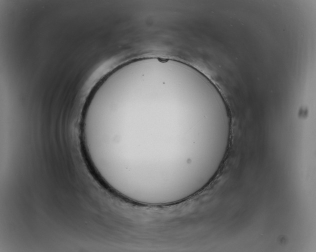 X0000101690007200807241419